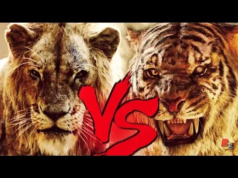 Видео: Шрам и Шерхан.Фильм.