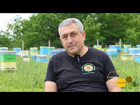 Видео: „Пчелините на България“ – равносметка на 2024 година