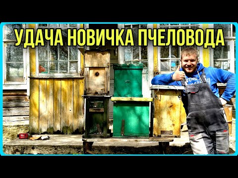 Видео: Роеловство 2023. Собрал, установил ловушки - через неделю поймал три роя?! Думал я!... #хочувдеревню