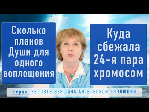 Видео: 5. Сколько Планов Души для одного воплощения. Куда сбежала 24 пара хромосом