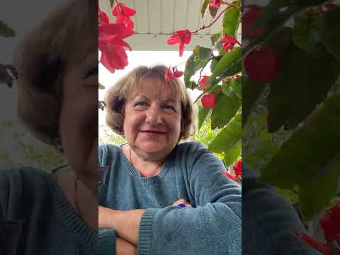 Видео: Цветы осенью