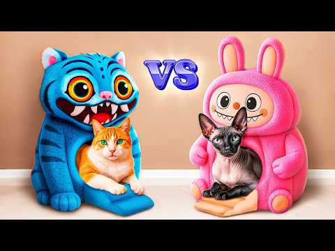 Видео: Богатая vs бедная кошка! Строим секретные домики для животных!