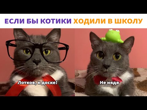 Видео: ЕСЛИ БЫ КОТИКИ ХОДИЛИ В ШКОЛУ - ВСЕ СЕРИИ