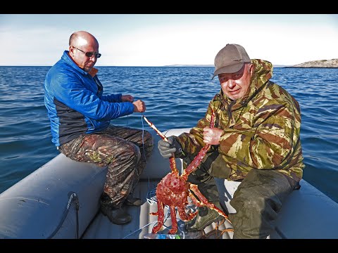 Видео: Белые ночи Красные крабы