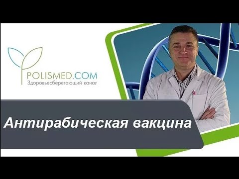 Видео: Антирабическая вакцина действие, эффективность, противопоказания. Аллергия на вакцину от бешенства