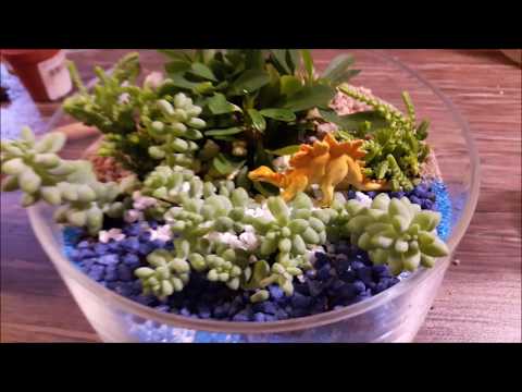 Видео: #Флорариум по шаговая инструкция. Суккуленты/succulents and cactus.