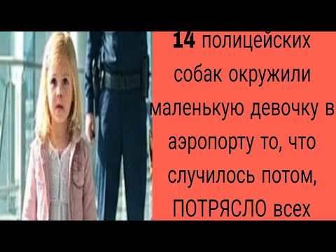 Видео: 14 полицейских собак окружили маленькую девочку в аэропорту то, что случилось потом, ПОТРЯСЛО всех
