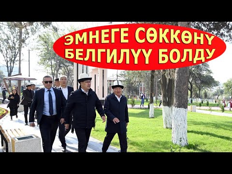 Видео: ОШТУН МЭРИ АЧУУ ЧЫНДЫКТЫ АЙТТЫ...