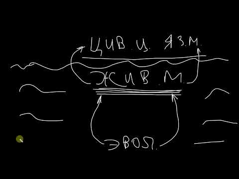 Видео: Правда о разумной жизни в логичной цивилизации