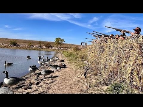 Видео: РАННЯЯ ОХОТА НА ГУСЕЙ В НЕБРАСКЕ! (В ГЛАЗАХ)