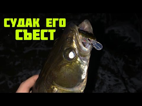 Видео: ВОБЛЕР ДЛЯ ЛОВЛИ НОЧНОГО СУДАКА | P21 Greedy Guts 88 sp MDR КИТАЙСКАЯ КОПИЯ