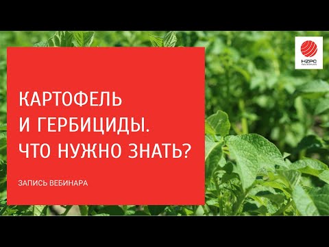 Видео: Картофель и гербициды. Что надо знать? Отвечаем на вопросы.