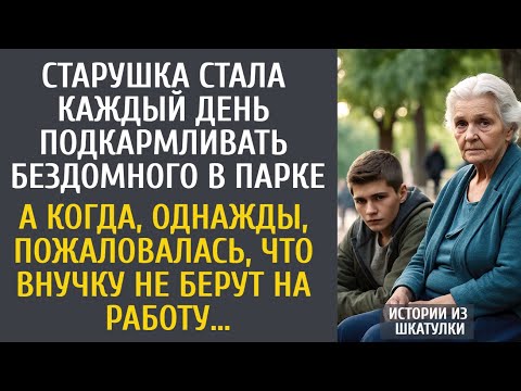 Видео: Старушка каждый день подкармливала бездомного… А сказав однажды, что внучку не берут на работу…