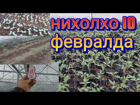 Видео: хажида 1 тон биогумус овардем
