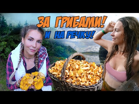 Видео: ПЕРЕЕХАЛИ В ДЕРЕВНЮ - кайф! С утра в лес ЗА ГРИБАМИ, а потом купаться! Красота и уединение!
