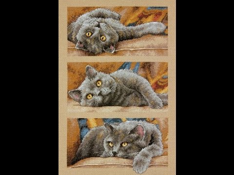 Видео: Обзор набора Dimensions Max the cat + мой подбор ниток DMC