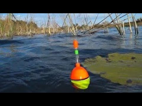 Видео: ОСЕННИЙ ЖОР ЩУКИ!!РЫБАЛКА НА ПОПЛАВОК.РЫБАЛКА НА ЖИВЦА