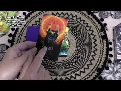 Видео: ‼️ВЫБЕРИ КАРТУ И ПОЛУЧИ СУПЕР ОТВЕТ‼️🍁🍀Гадание Таро Онлайн