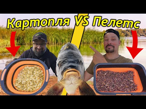 Видео: Картопля за копійки або прикормка за 500$●Хто переможе?● RoMaX Fishing ●