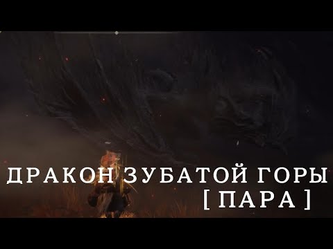 Видео: ELDEN RING | Shadow of the Erdtree | Босс: Дракон зубатой горы ( пара )