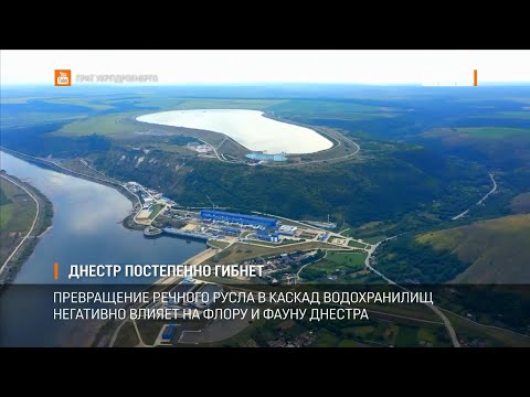 Видео: Днестр постепенно гибнет