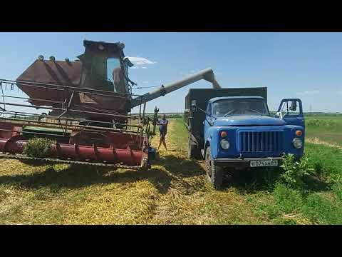 Видео: Уборка озимого ячменя 2021