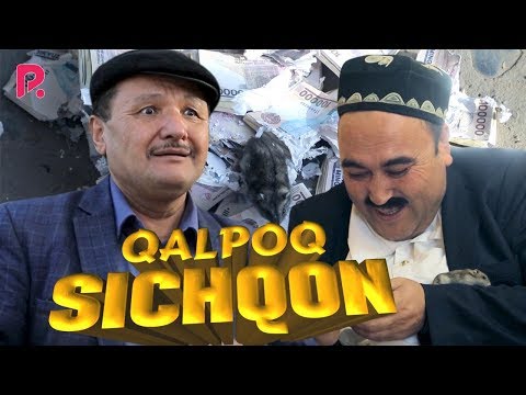Видео: Qalpoq - Sichqon | Калпок - Сичкон (hajviy ko'rsatuv)