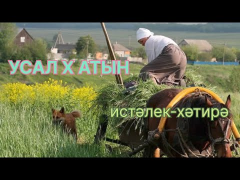 Видео: Рассказы на татарском языке | Усал хатын| # 46