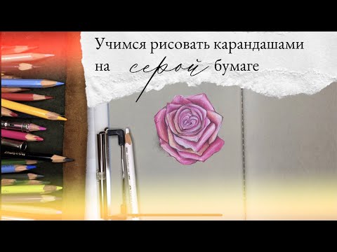 Видео: Уроки рисования | серая бумага + цветные карандаши | рисуем розу