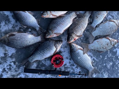 Видео: Зимові красені. КАРАСЬ на БОКОВИЙ КИВОК!