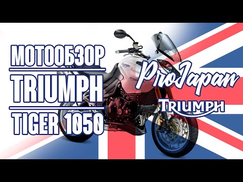 Видео: Обзор Triumph Tiger 1050 2008. Просто очень удобный мот.