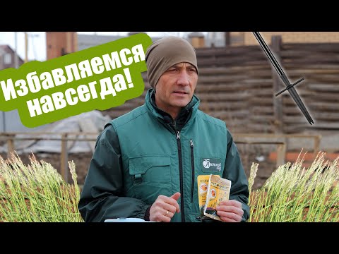 Видео: Сорняки на огороде! Избавиться от сорных трав ПРОСТО! Выбираем средство от сорняков на участке