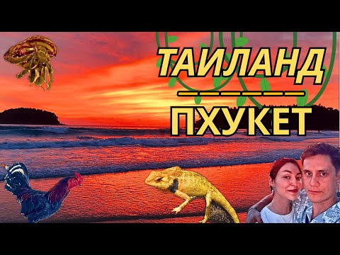 Видео: Таиланд #3 | Пхукет | Вечерняя прогулка, смотрим разные пляжи, крабы, лазаю по камням