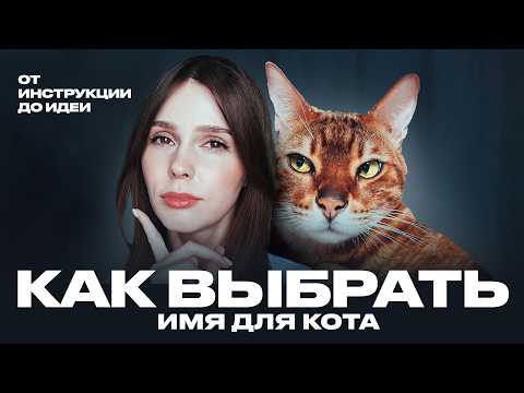 Видео: КАК НАЗВАТЬ КОТА? ПОЛНАЯ ИНСТРУКЦИЯ И ИДЕИ | КАК Я НАЗВАЛА БЕНГАЛА И АБИССИНЦА