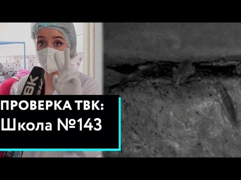 Видео: «Проверка» ТВК снова в красноярской школе №143 на Урванцева