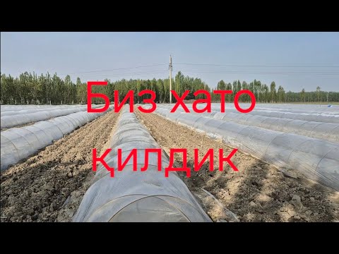 Видео: Биз хато қилдик #bobodexqonlar