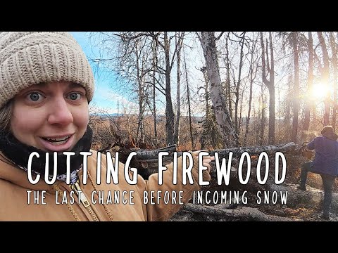 Видео: Заготовка дров в лесу — последняя уборка перед снегом