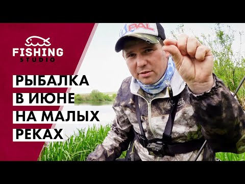 Видео: Где, как и на что ловить голавля в начале лета? | Рыбалка в июне на малых реках | ВихровLIFE