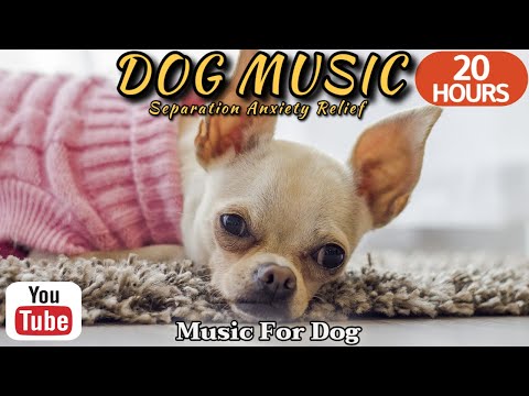 Видео: 20 часов любимой музыки собак🐶💖Музыка для сна собак 🐶🎵 Музыка для снятия беспокойства при разлуке🎵