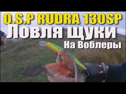 Видео: Щука на воблеры. Твичинг. O.S.P Rudra  ДЕЛАЕТ РЫБАЛКУ !!!