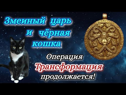 Видео: Змеиная Богиня. Сентябрь 2025