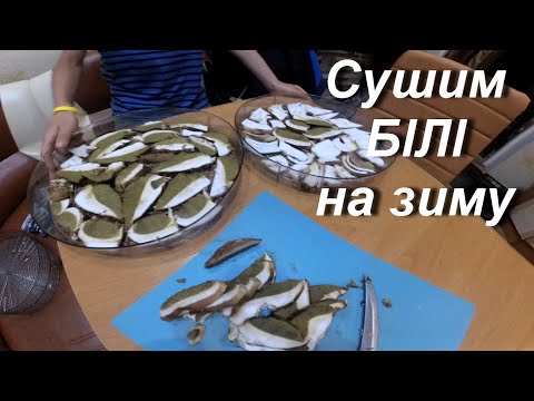Видео: Сушіння БІЛИХ грибів в домашніх умовах.Нарізка. Електросушарка.