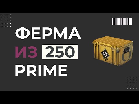 Видео: СКОЛЬКО ЗАРАБОТАЛ С 250 ПРАЙМАХ | ФЕРМА В CS2 2025 ГОДУ #6