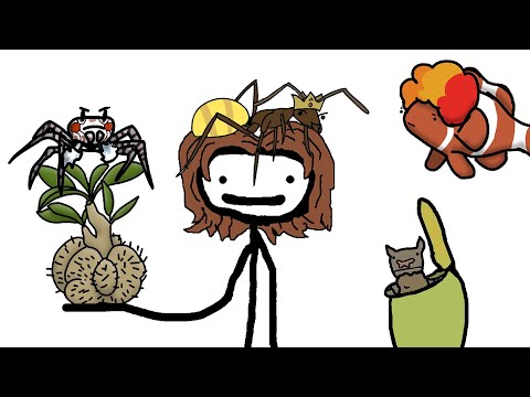 Видео: "Мутуализм - один из видов симбиоза" - Академия Сэма О'Нэллы (Студия Broccoli)