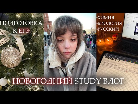 Видео: новогодний study влог | готовлюсь к ЕГЭ'25 химия, биология, русский
