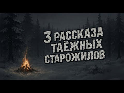 Видео: Таёжные ужасы: будь осторожен, когда стемнеет…