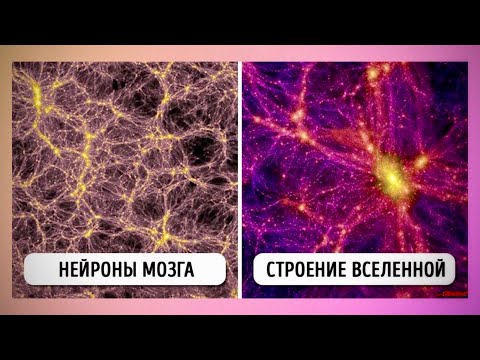 Видео: Дольмены - Нейросеть Вселенной. Истина - Дмитрий Дмитриев