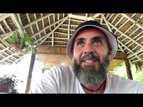 Видео: Доминикана / 30 гектаров за 4 месяца / Dominican Channel