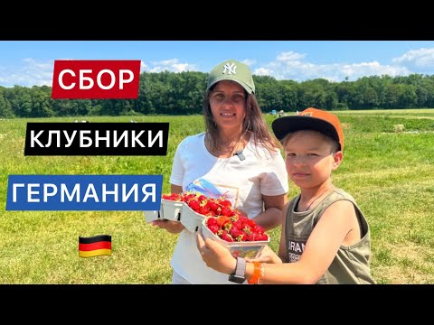 Видео: СБОР КЛУБНИКИ 🍓 В ГЕРМАНИИ 2023 / ПОЛЯ КЛУБНИКИ / КАК РАСТЕТ КЛУБНИКА