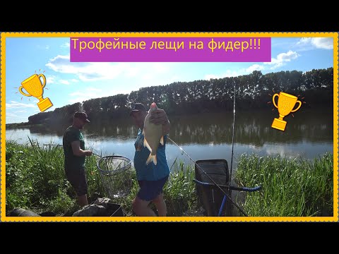 Видео: ТРОФЕЙНЫЕ ЛЕЩИ НА ФИДЕР, С ДРУЗЬЯМИ НА РЕКЕ, ПАЛАТКИ, КОСТЁР, ПЕЧЁНЫЙ ЛЕЩ, и многое другое!!!